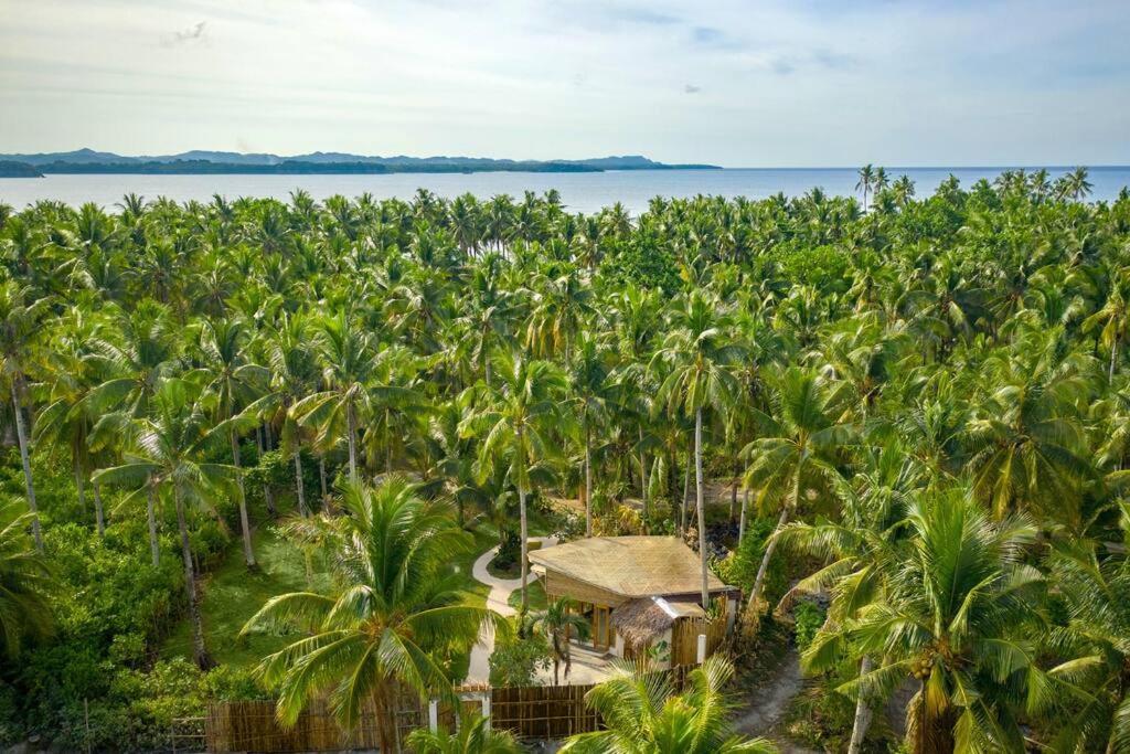 The Bamboo Houses - Tropical Garden & Empty Beach General Luna  Kültér fotó